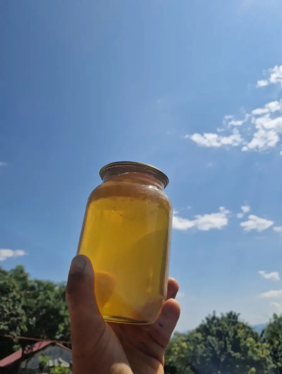 თაფლი