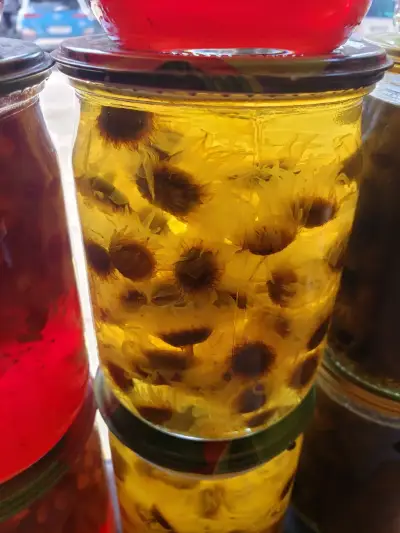 გვირილის მურაბა