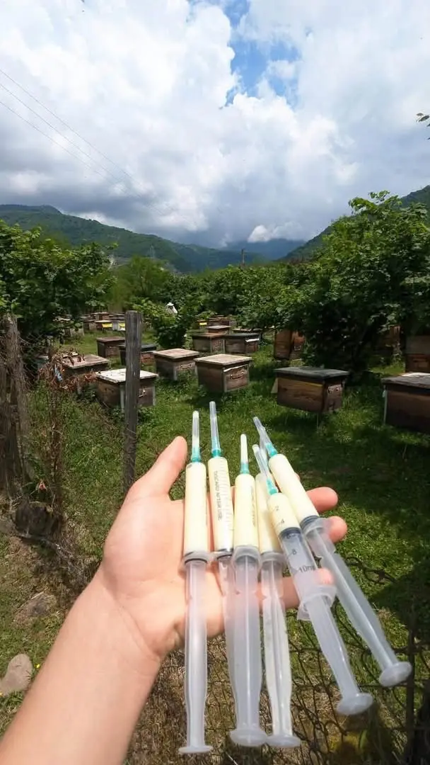 ფუტკრის რძე