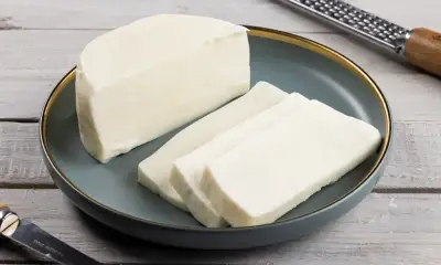 Სულგუნი