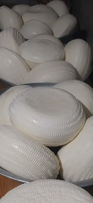 Machiki cheese (cheese made with natural rennet)