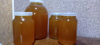თაფლი