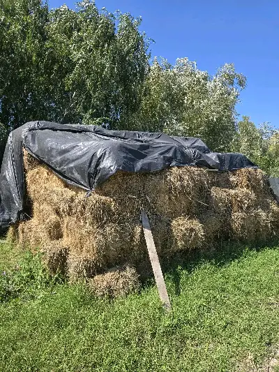 Тюк (сено в тюках)