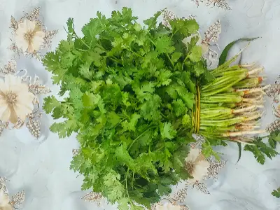 ქინძი