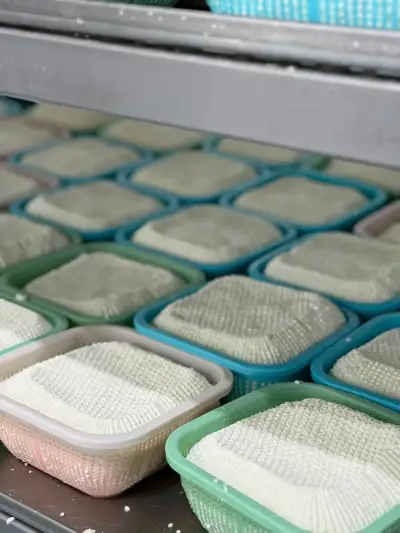 Imeretian Cheese