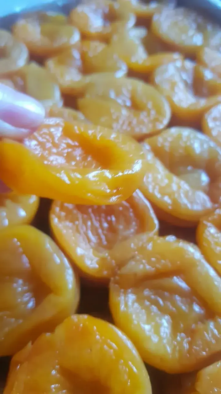 გარგრის ჩირი