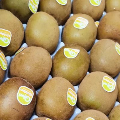 Kiwi