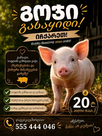 Piglet