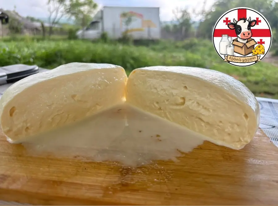 სულგუნი