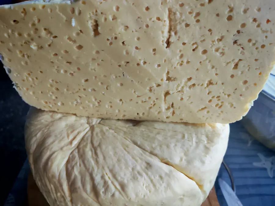 Ძროხის გუდის ყველი.