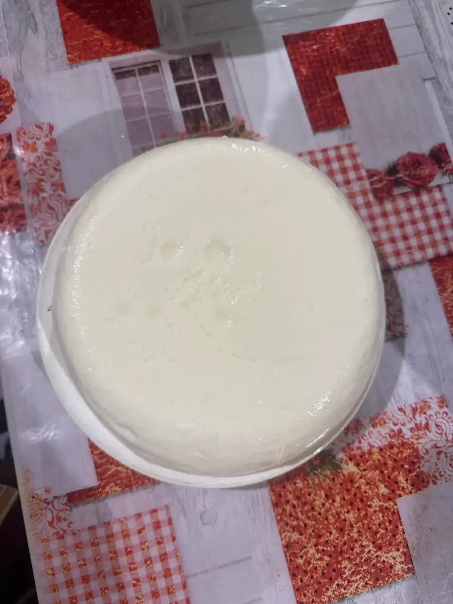 სულგუნი