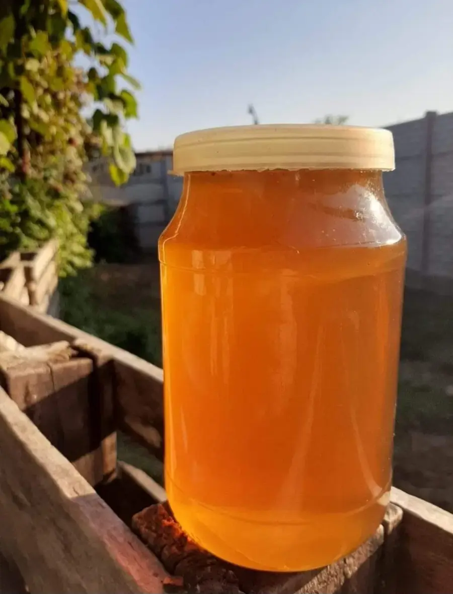 თაფლი