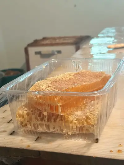 Мёд в сотах