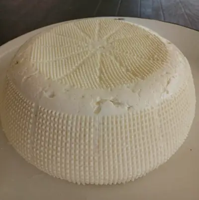 ყველი