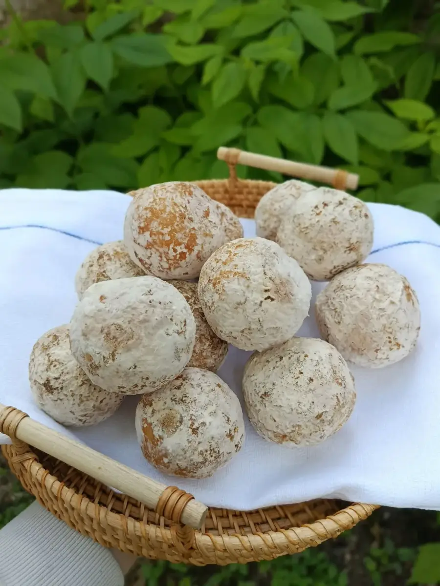 დამბალხაჭო
