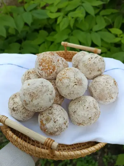 დამბალხაჭო