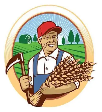 ხორბალი