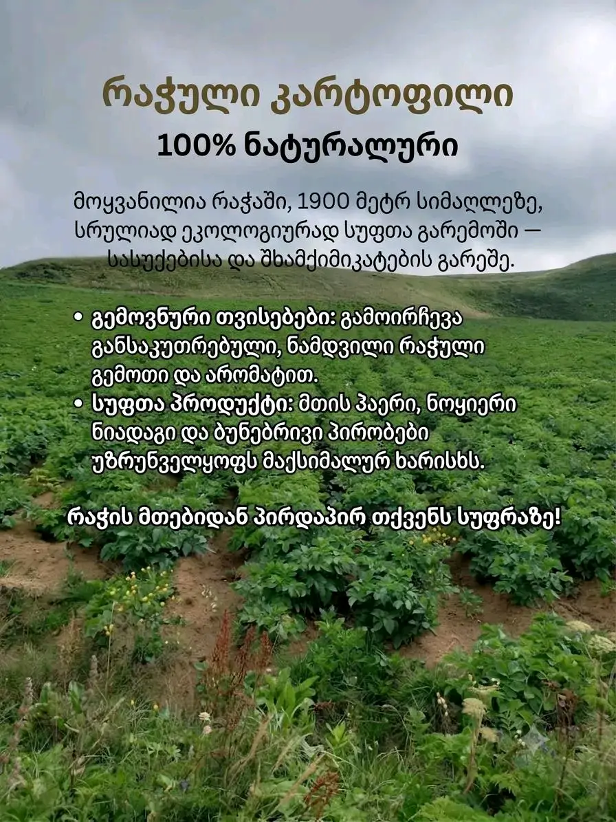 კარტოფილი