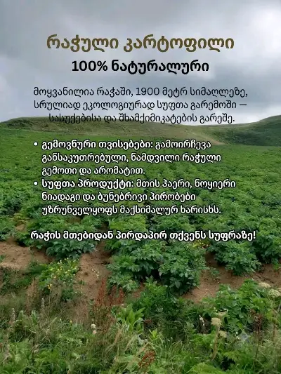 კარტოფილი