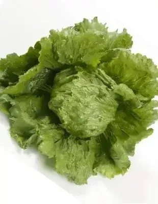 Iceberg