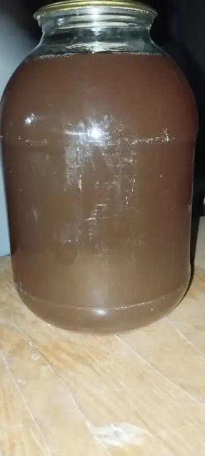 Виноградный бадаги