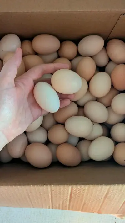 Натуральные деревенские яйца