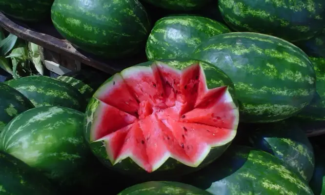 Watermelon from Kareli