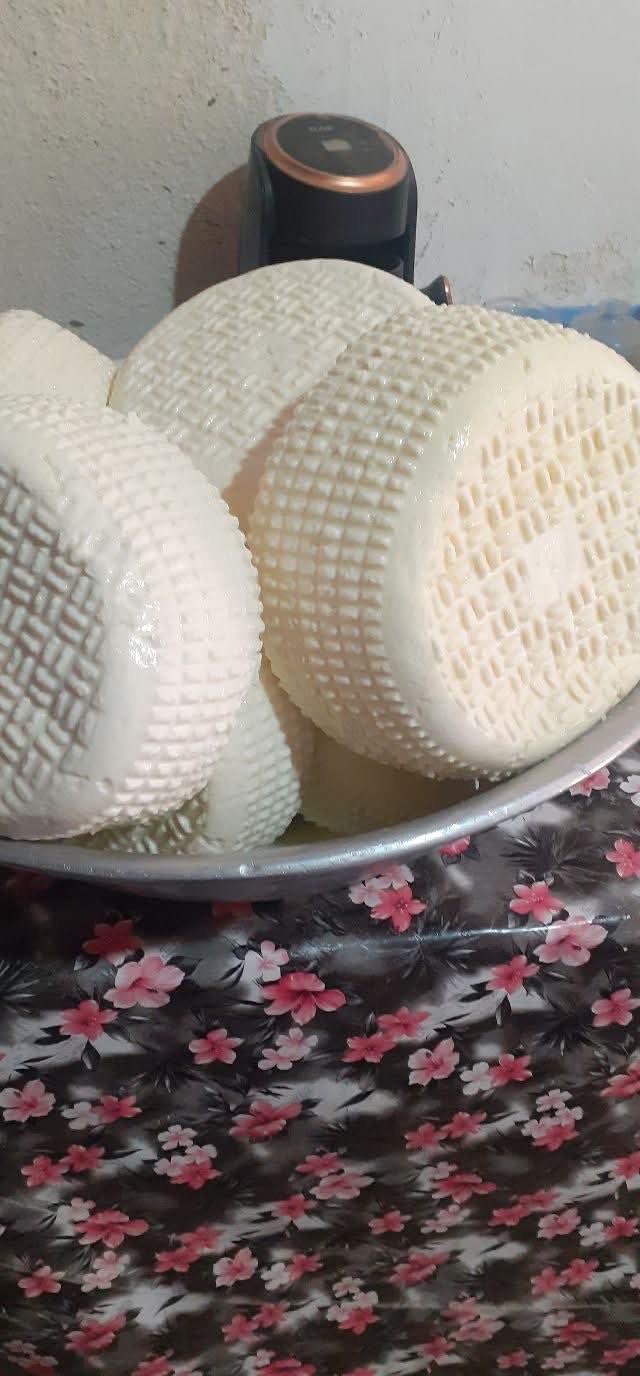 ყველი