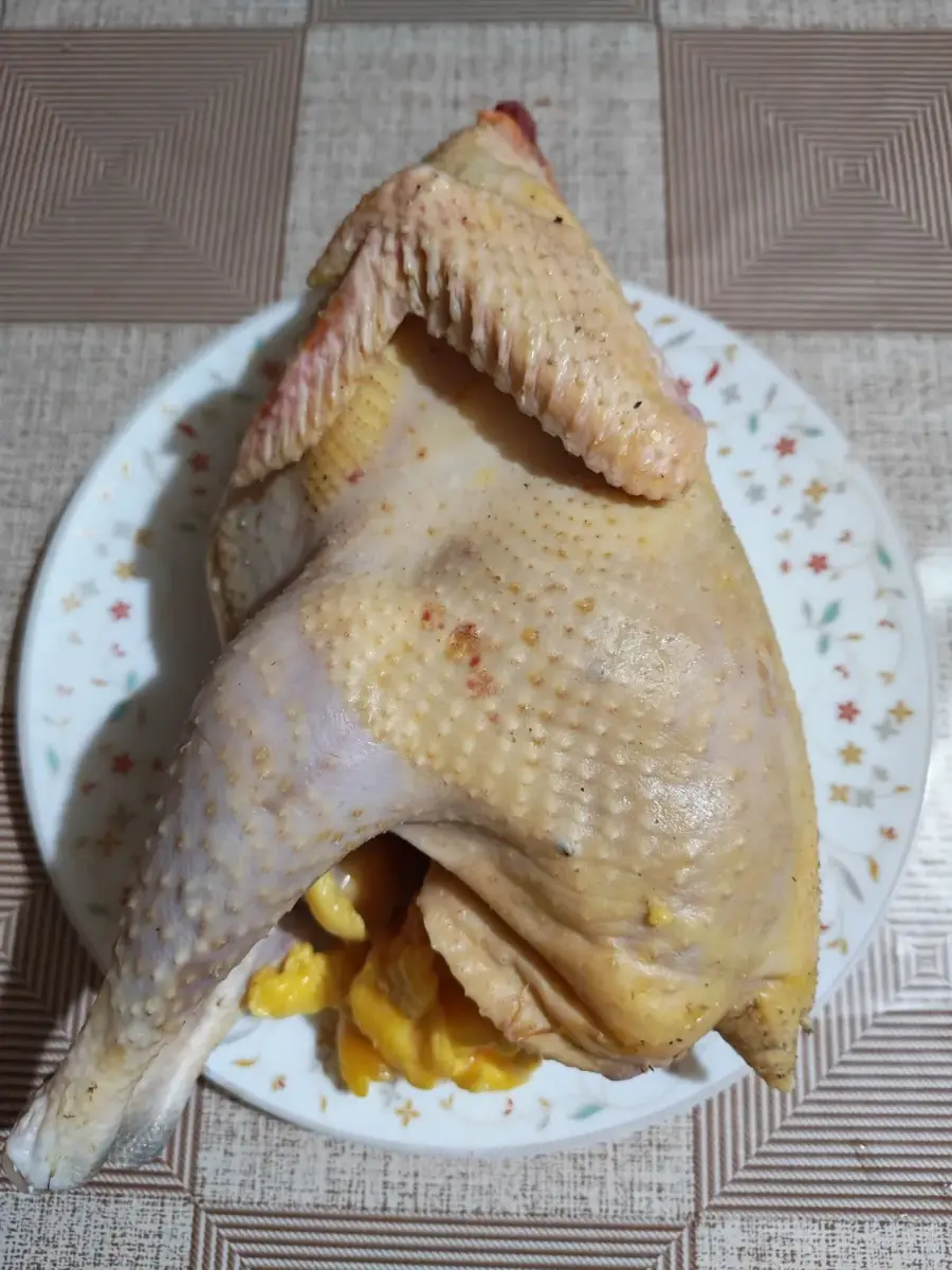 ქათამი