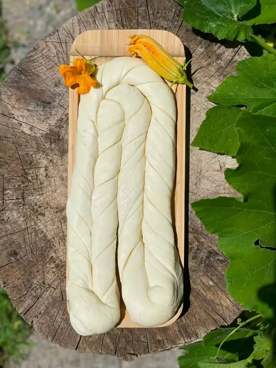 ჩეჩილი