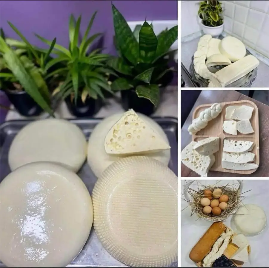 სულგუნი