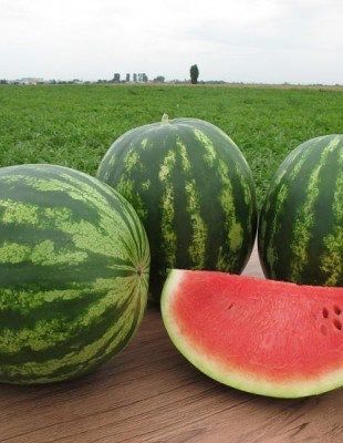 Watermelon
