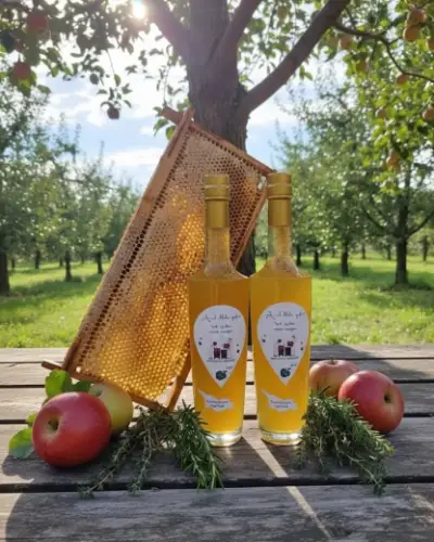 Яблочный уксус — с сотами