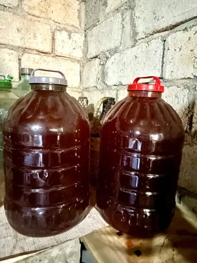 Rkatsiteli - Qvevri wine