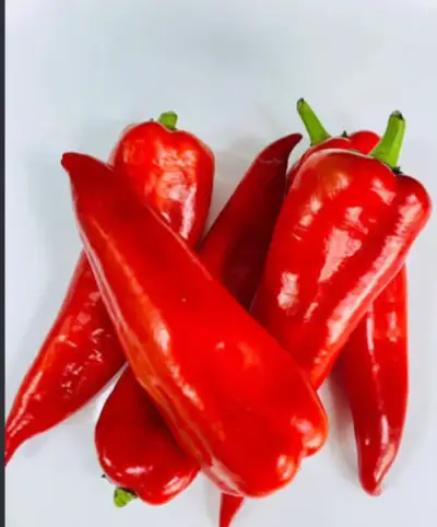 Bell pepper