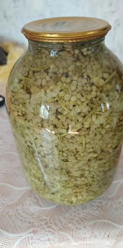 ჯონჯოლო