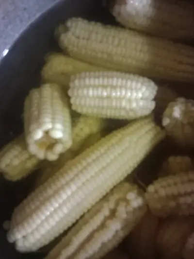 Fresh young corn
