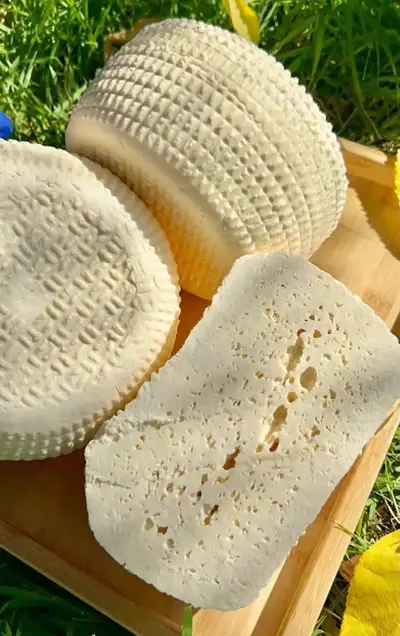 We supply establishments with cheese