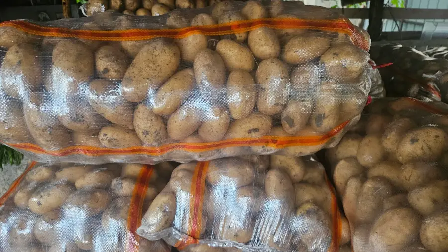 კარტოფილი