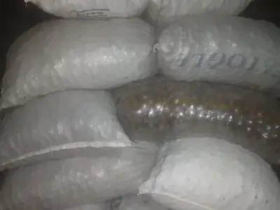ნიგოზი