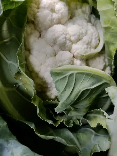 Cauliflower