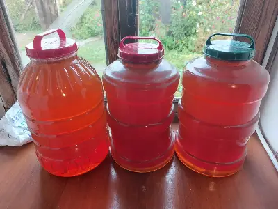 თაფლი