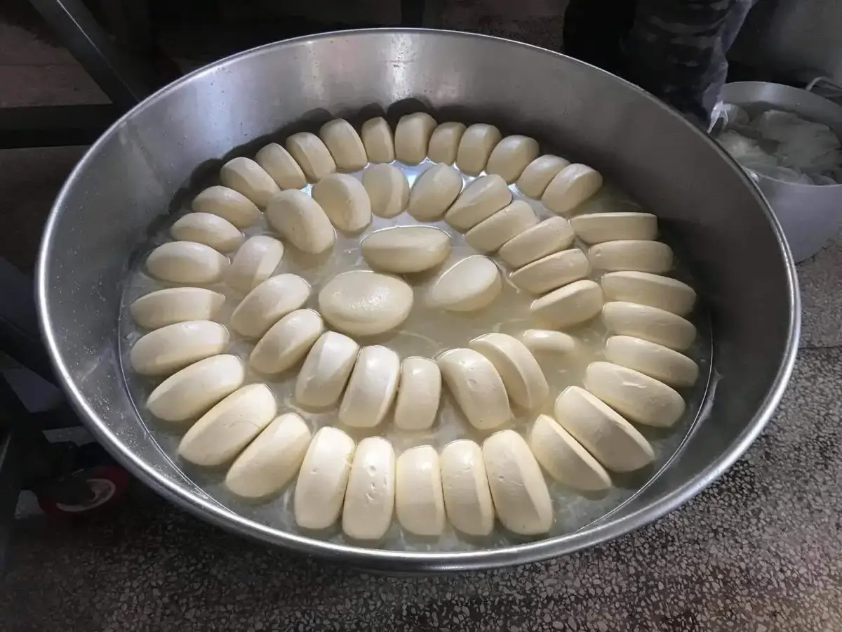 სულგუნი