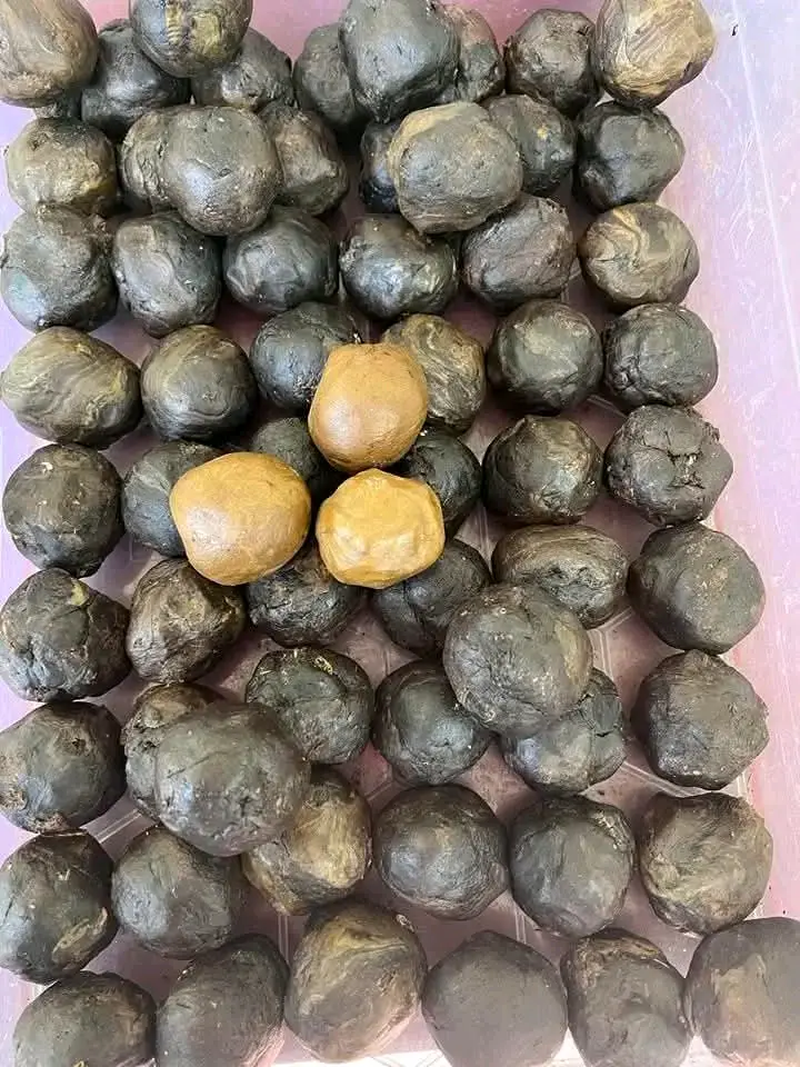 დინდგელი