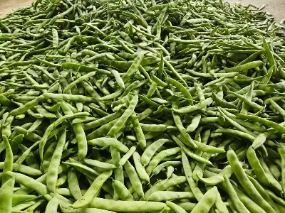 Green beans