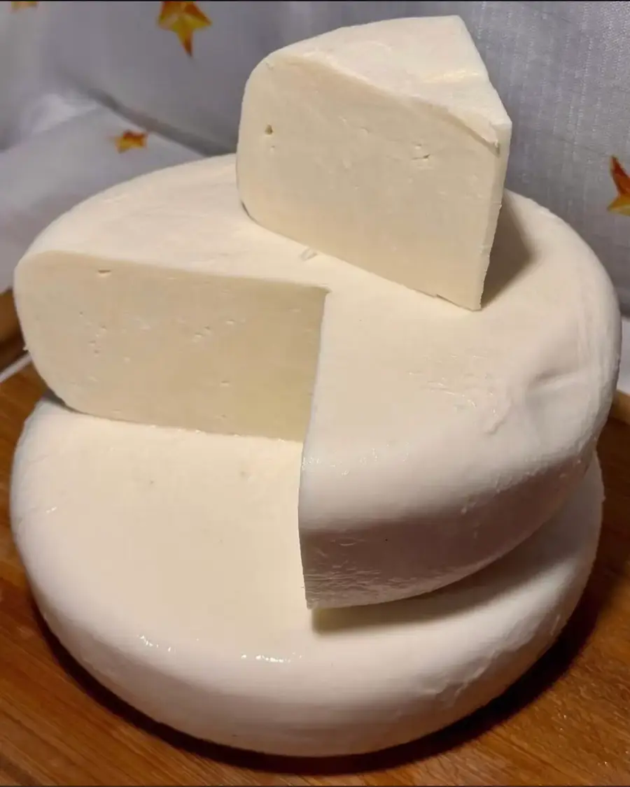 სულგუნი