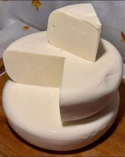 სულგუნი