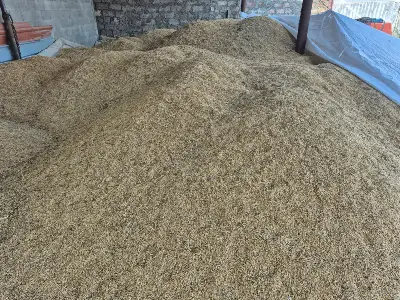შვრია