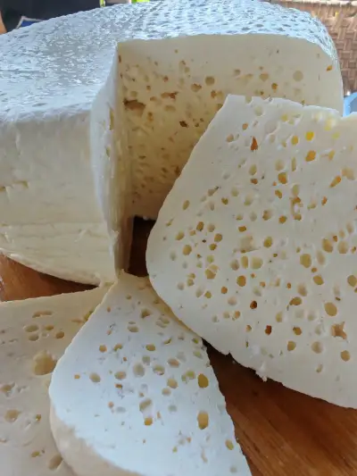 Imeretian unskimmed cheese