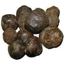 Propolis